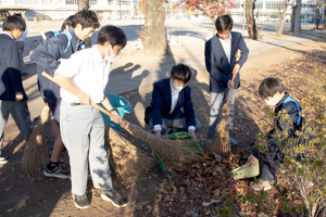 落ち葉を集める。