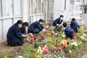 ボランティア部。